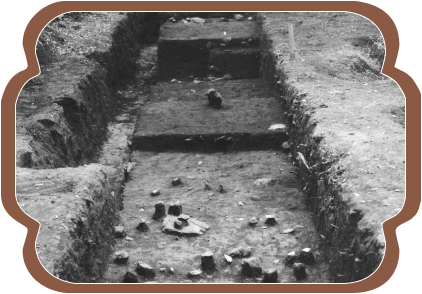 BX8610_L5Trench BX8610_L5Trench